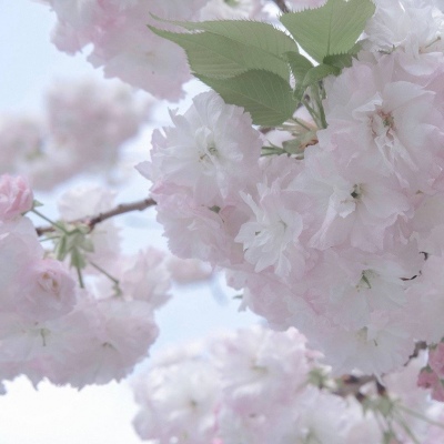 原创Furry角色设计思路FurryQQ群